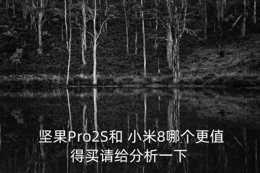  堅果Pro2S和 小米8哪個更值得買請給分析一下