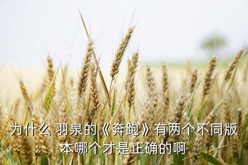 為什么 羽泉的《奔跑》有兩個(gè)不同版本哪個(gè)才是正確的啊