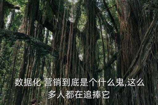 大數(shù)據(jù)營銷是怎么回事,貸款營銷電話來電是怎么回事