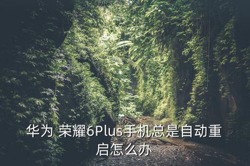 榮耀6無法備份數(shù)據(jù),榮耀20pro怎么備份數(shù)據(jù)