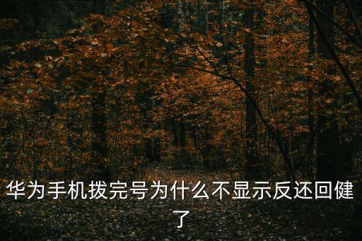 華為手機(jī)撥完號為什么不顯示反還回健了