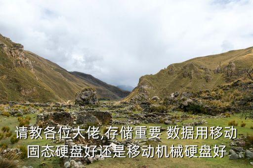 請(qǐng)教各位大佬,存儲(chǔ)重要 數(shù)據(jù)用移動(dòng)固態(tài)硬盤(pán)好還是移動(dòng)機(jī)械硬盤(pán)好