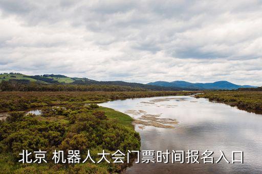 北京 機(jī)器人大會門票時間報名入口