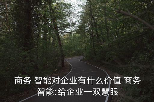 關(guān)于數(shù)據(jù)挖掘技術(shù)在商務(wù)智能中應(yīng)用研究的內(nèi)容與意義
