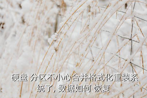  硬盤 分區(qū)不小心合并格式化重裝系統(tǒng)了, 數(shù)據(jù)如何 恢復(fù)