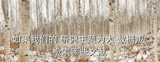 如果我們的 研究主題為大 數(shù)據(jù),應(yīng)檢索哪些文獻(xiàn)