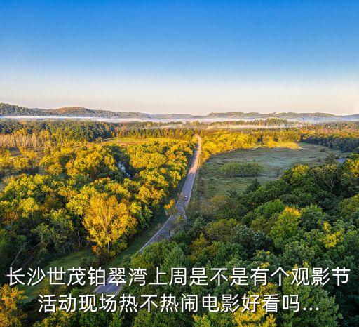 長(zhǎng)沙世茂鉑翠灣上周是不是有個(gè)觀影節(jié)活動(dòng)現(xiàn)場(chǎng)熱不熱鬧電影好看嗎...