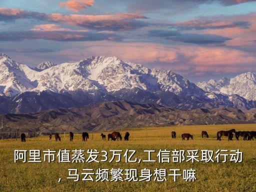 阿里市值蒸發(fā)3萬(wàn)億,工信部采取行動(dòng), 馬云頻繁現(xiàn)身想干嘛