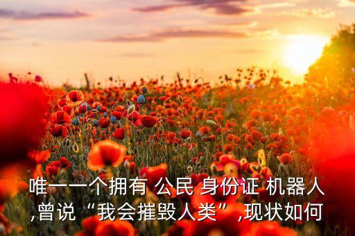 唯一一個(gè)擁有 公民 身份證 機(jī)器人,曾說“我會(huì)摧毀人類”,現(xiàn)狀如何