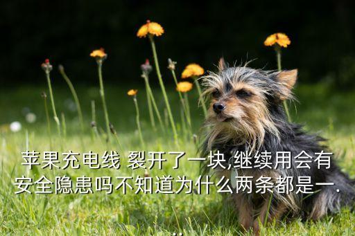 蘋果充電線 裂開了一塊,繼續(xù)用會有安全隱患嗎不知道為什么兩條都是一...