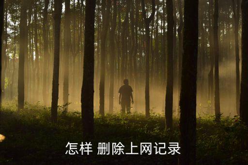 怎樣 刪除上網(wǎng)記錄