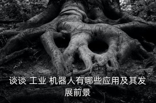談?wù)?工業(yè) 機器人有哪些應(yīng)用及其發(fā)展前景