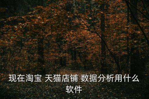 現(xiàn)在淘寶 天貓店鋪 數(shù)據(jù)分析用什么軟件
