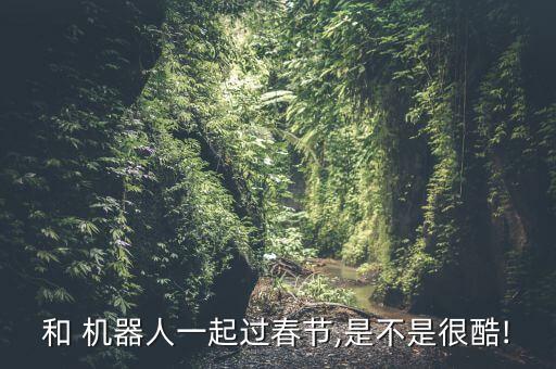 和 機(jī)器人一起過春節(jié),是不是很酷!