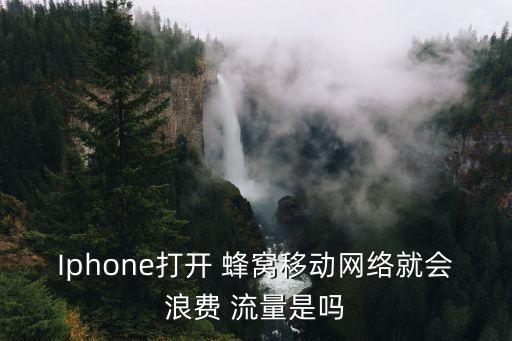 Iphone打開(kāi) 蜂窩移動(dòng)網(wǎng)絡(luò)就會(huì)浪費(fèi) 流量是嗎