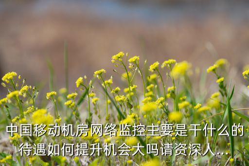 中國移動(dòng)機(jī)房網(wǎng)絡(luò)監(jiān)控主要是干什么的待遇如何提升機(jī)會(huì)大嗎請(qǐng)資深人...