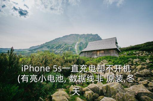 iPhone 5s一直充電卻不開(kāi)機(jī)(有亮小電池, 數(shù)據(jù)線(xiàn)非 原裝,冬天