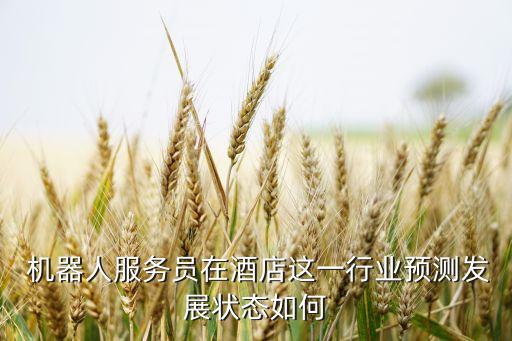  機(jī)器人服務(wù)員在酒店這一行業(yè)預(yù)測發(fā)展?fàn)顟B(tài)如何