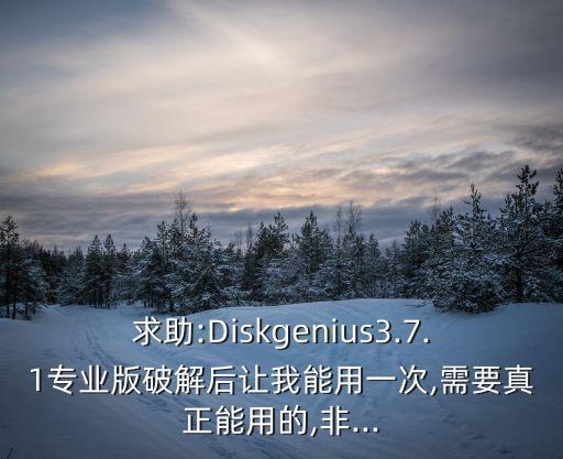 求助:Diskgenius3.7.1專業(yè)版破解后讓我能用一次,需要真正能用的,非...