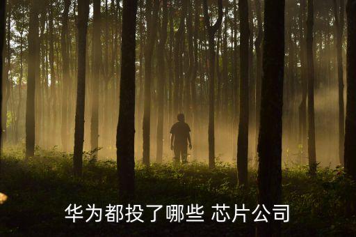 華為都投了哪些 芯片公司