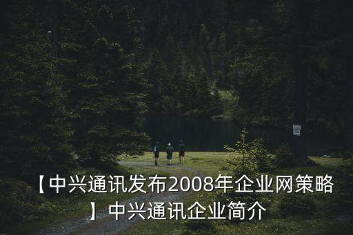 【中興通訊發(fā)布2008年企業(yè)網(wǎng)策略】中興通訊企業(yè)簡介