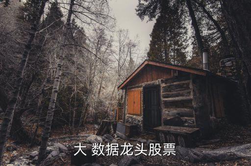 大 數(shù)據(jù)龍頭股票