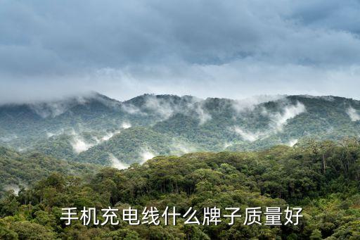  手機(jī)充電線什么牌子質(zhì)量好