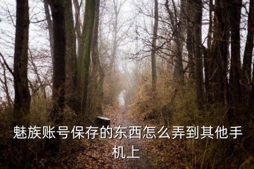 魅族數(shù)據(jù)云同步是什么,魅族自動同步個人賬號數(shù)據(jù)