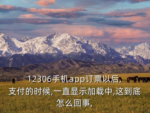  12306手機app訂票以后, 支付的時候,一直顯示加載中,這到底怎么回事,