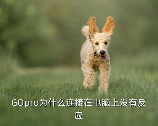 GOpro為什么連接在電腦上沒有反應(yīng)