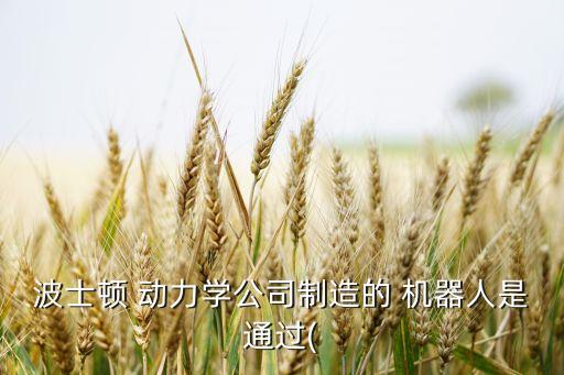 波士頓 動(dòng)力學(xué)公司制造的 機(jī)器人是通過(