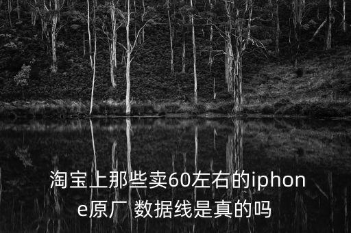  淘寶上那些賣60左右的iphone原廠 數(shù)據(jù)線是真的嗎
