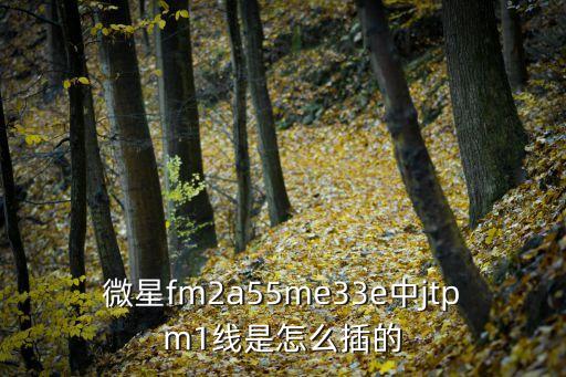 微星fm2a55me33e中jtpm1線是怎么插的