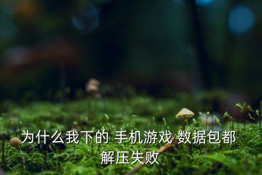 為什么我下的 手機游戲 數(shù)據(jù)包都 解壓失敗
