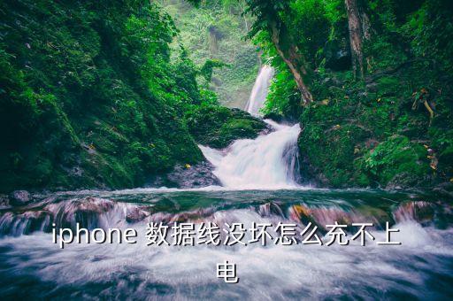 iphone 數(shù)據(jù)線沒壞怎么充不上電