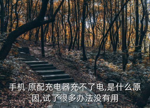 手機(jī) 原配充電器充不了電,是什么原因,試了很多辦法沒有用