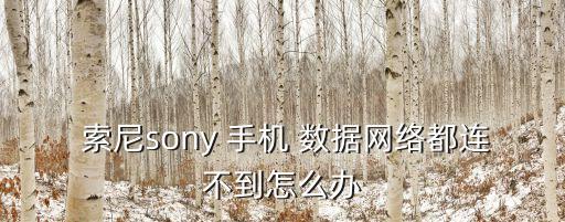  索尼sony 手機 數(shù)據(jù)網(wǎng)絡都連不到怎么辦