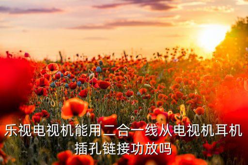 樂視電視機(jī)能用二合一線從電視機(jī)耳機(jī)插孔鏈接功放嗎