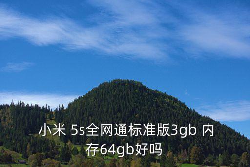  小米 5s全網(wǎng)通標(biāo)準(zhǔn)版3gb 內(nèi)存64gb好嗎