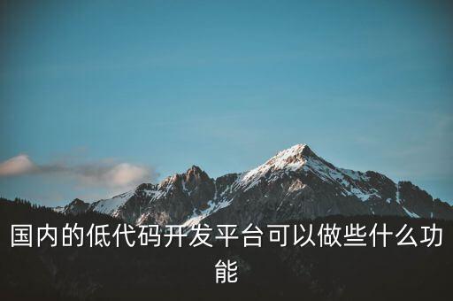 國內(nèi)的低代碼開發(fā)平臺可以做些什么功能