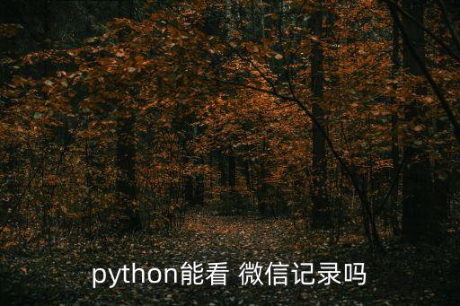 python能看 微信記錄嗎
