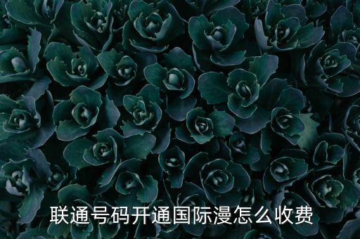 聯(lián)通號碼開通國際漫怎么收費(fèi)