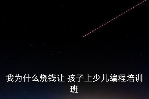 我為什么燒錢讓 孩子上少兒編程培訓(xùn)班
