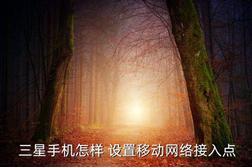  三星手機怎樣 設(shè)置移動網(wǎng)絡(luò)接入點