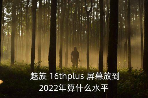 魅族16th屏幕數(shù)據(jù)