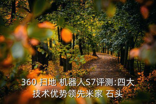 掃地機(jī)器人石頭