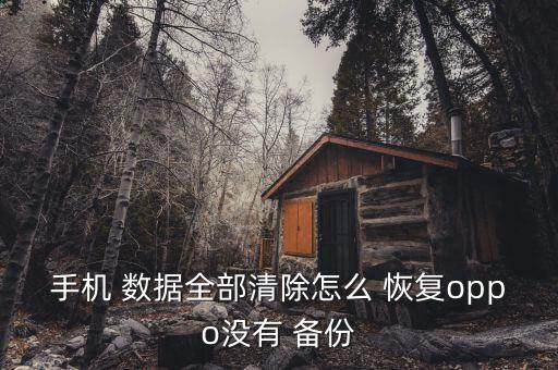 手機(jī) 數(shù)據(jù)全部清除怎么 恢復(fù)oppo沒有 備份
