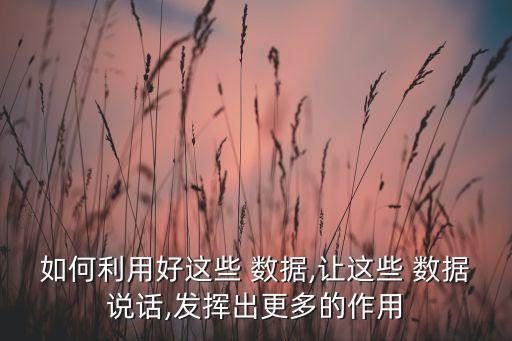 如何利用好這些 數(shù)據(jù),讓這些 數(shù)據(jù)說(shuō)話(huà),發(fā)揮出更多的作用