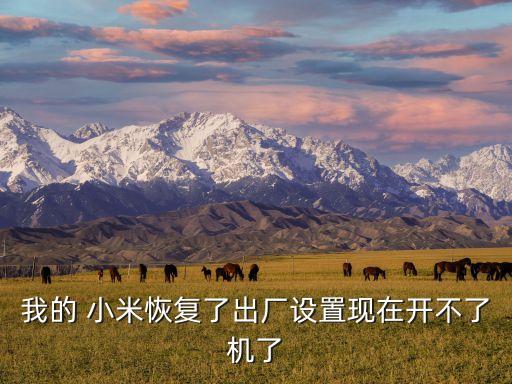 我的 小米恢復(fù)了出廠設(shè)置現(xiàn)在開不了機(jī)了