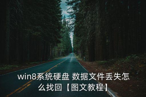  win8系統(tǒng)硬盤(pán) 數(shù)據(jù)文件丟失怎么找回【圖文教程】